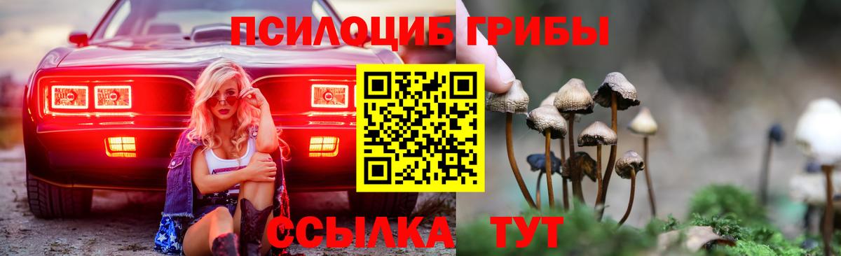 Галлюциногенные грибы Magic Shrooms  Вход с VPN  Тимашёвск  Галлюциногенные грибы Magic Shrooms 